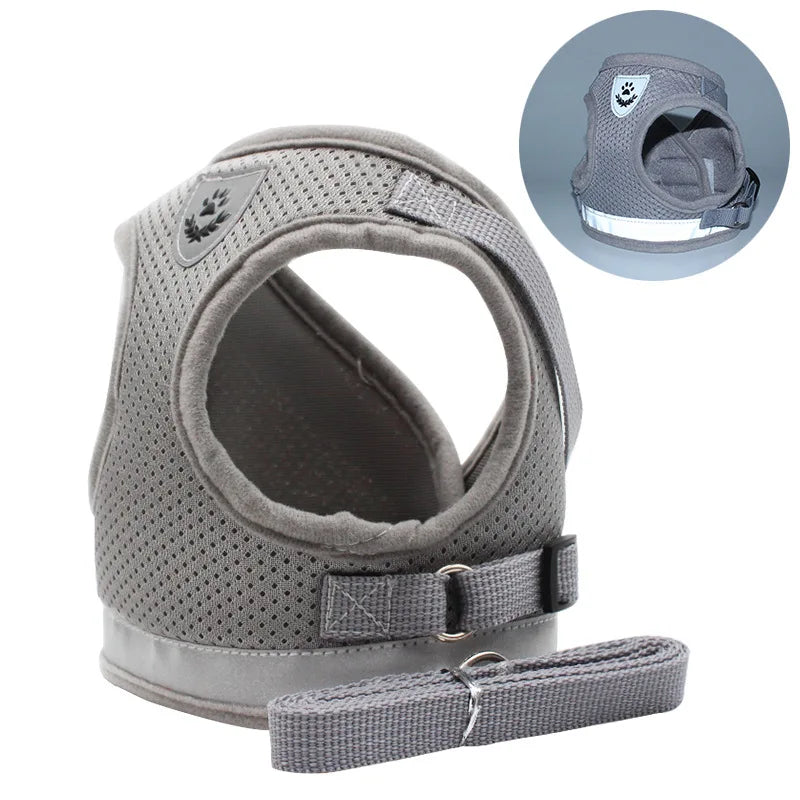 Small/Medium Dog Harness with Leash