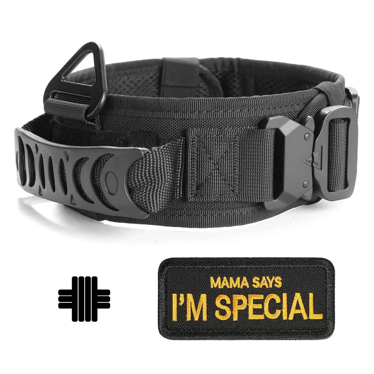 Classic Adjustable Dog Training Collar