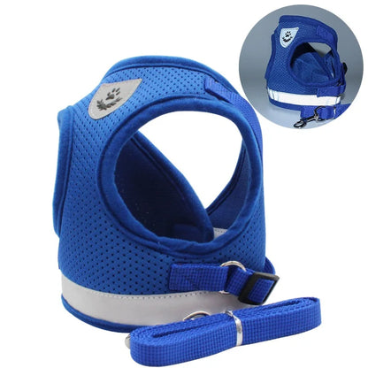 Small/Medium Dog Harness with Leash