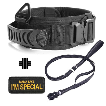 Classic Adjustable Dog Training Collar