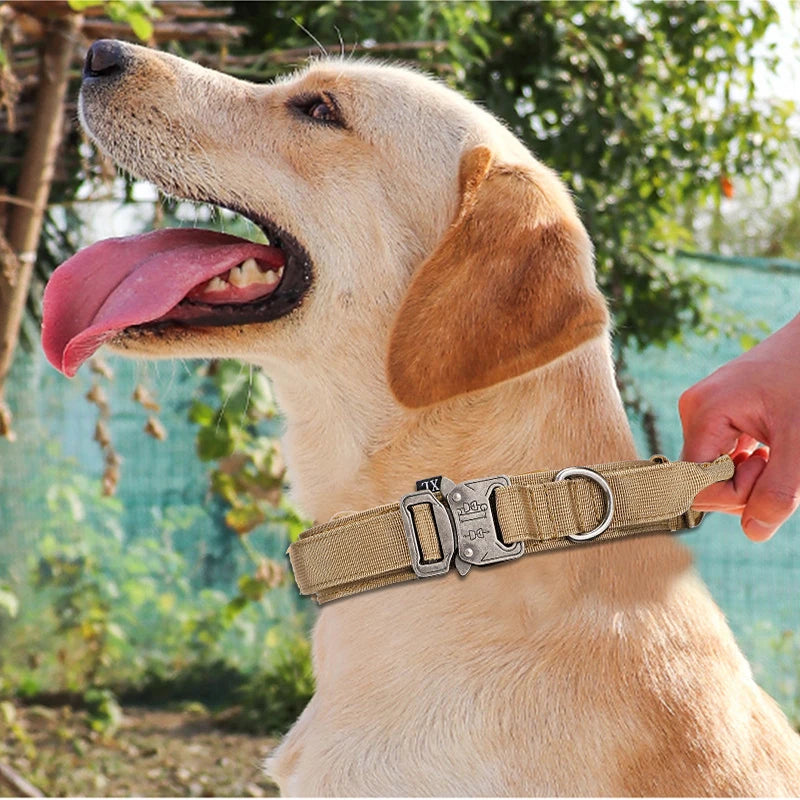 Durable Reflective Dog Collar Leash Set