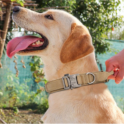 Durable Reflective Dog Collar Leash Set