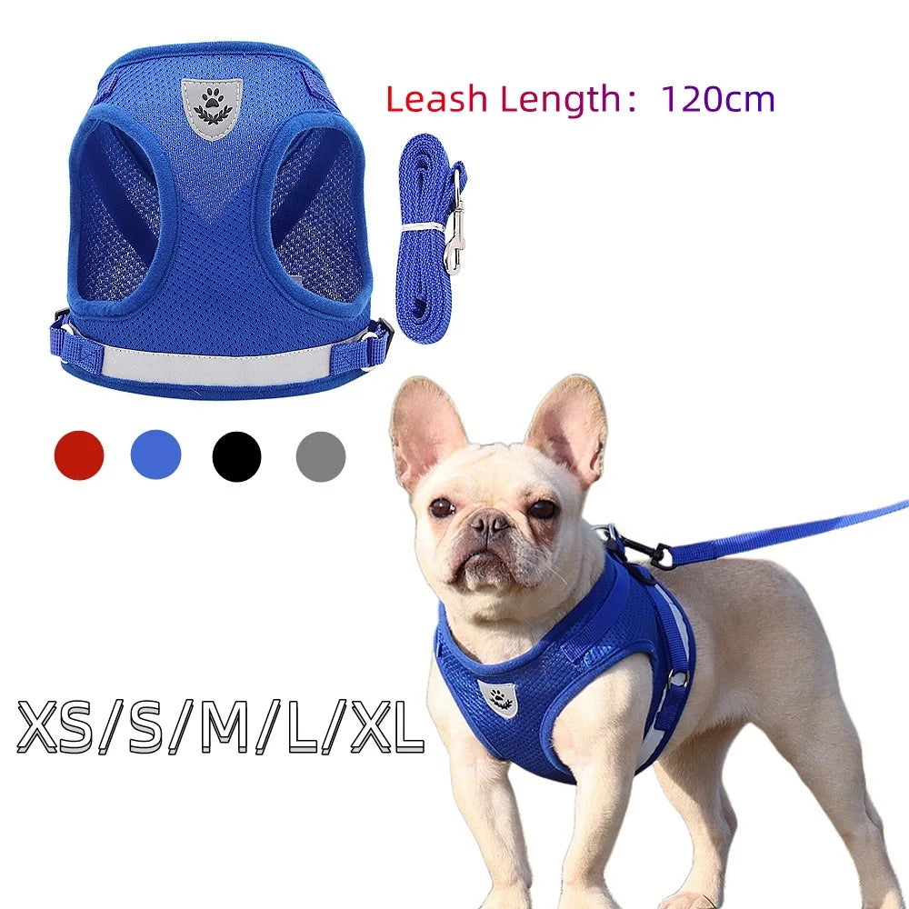 Small/Medium Dog Harness with Leash