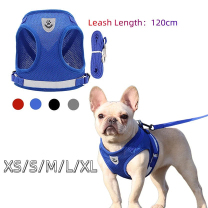 Small/Medium Dog Harness with Leash