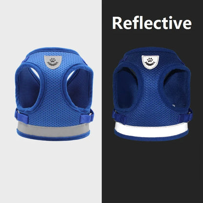 Small/Medium Dog Harness with Leash