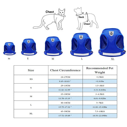Small/Medium Dog Harness with Leash