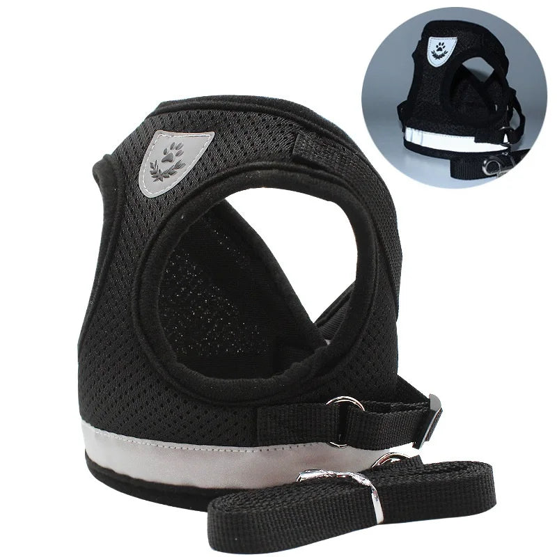 Small/Medium Dog Harness with Leash