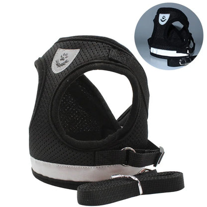 Small/Medium Dog Harness with Leash