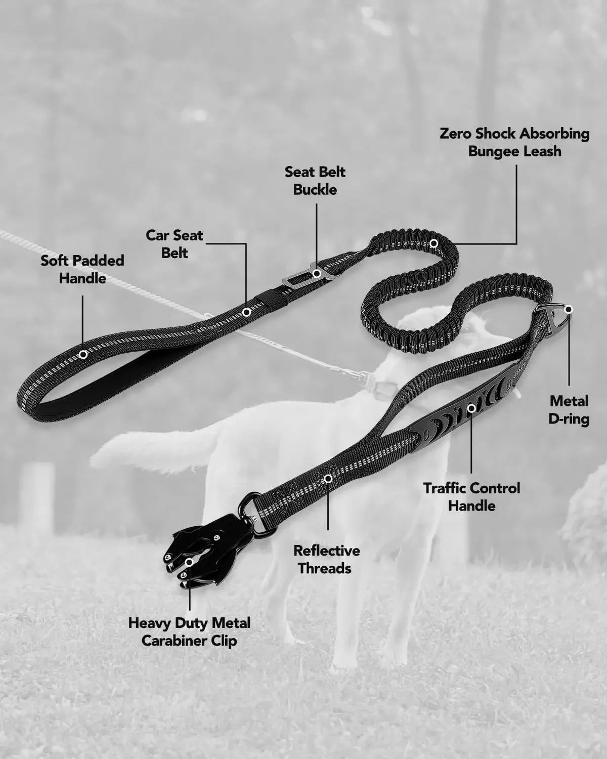 Classic Adjustable Dog Training Collar