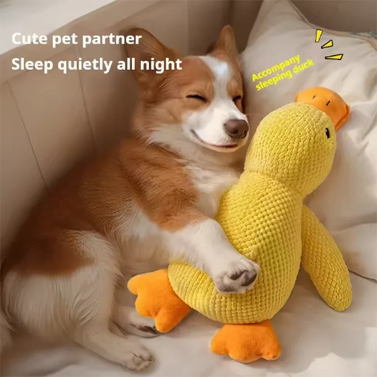 Cute dog Toy, Bite Cleaning Entertainment for Puppy