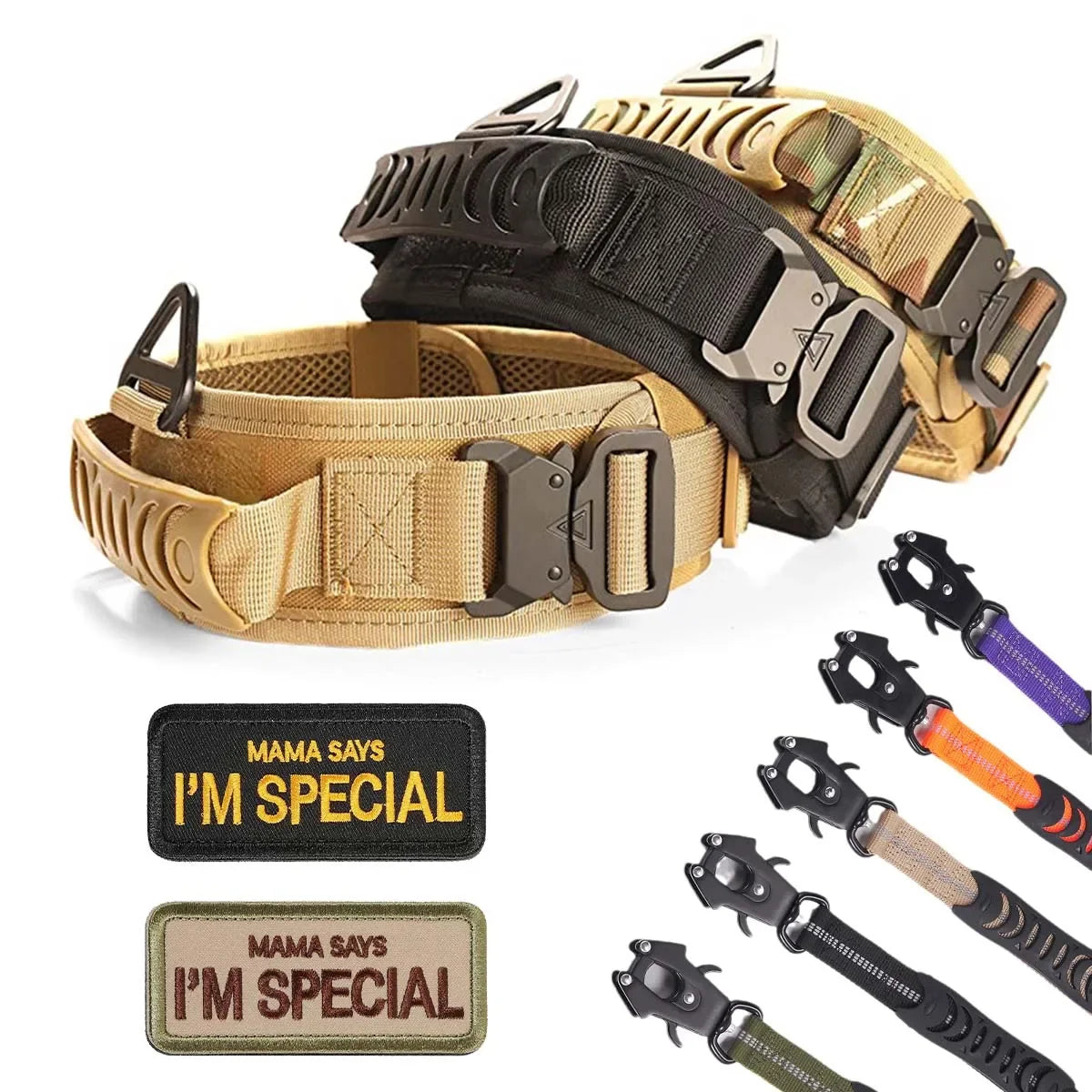 Classic Adjustable Dog Training Collar