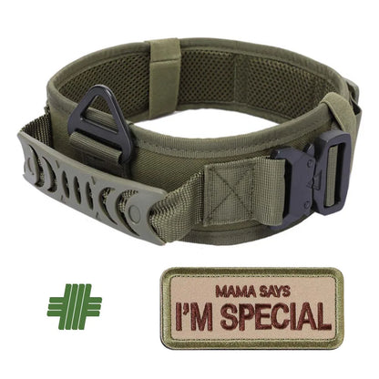 Classic Adjustable Dog Training Collar