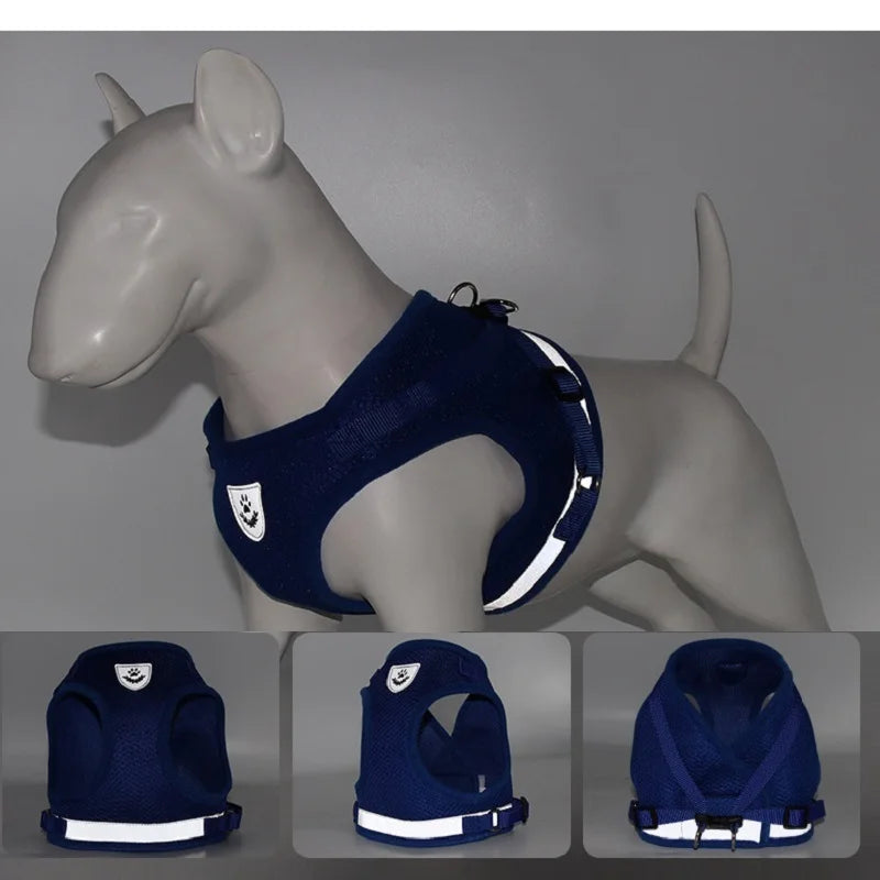 Small/Medium Dog Harness with Leash