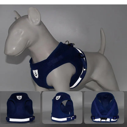 Small/Medium Dog Harness with Leash