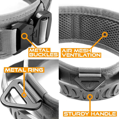 Classic Adjustable Dog Training Collar