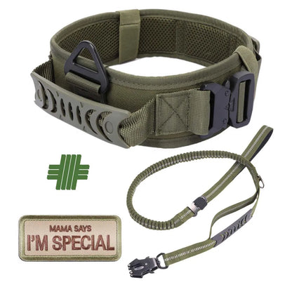 Classic Adjustable Dog Training Collar