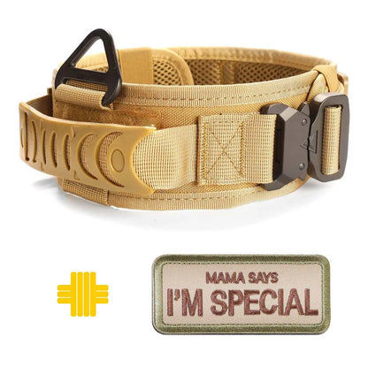Classic Adjustable Dog Training Collar