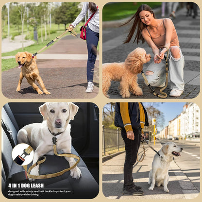 Classic Adjustable Dog Training Collar
