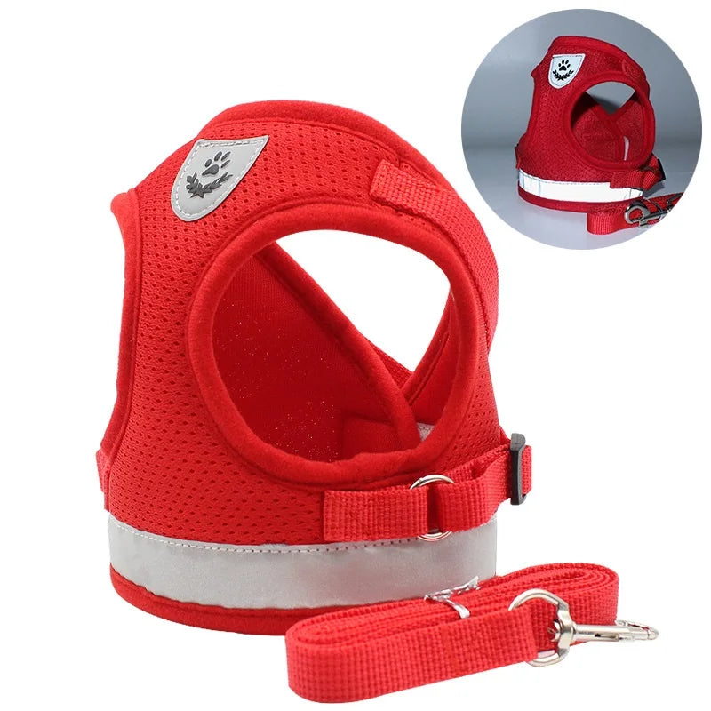Small/Medium Dog Harness with Leash