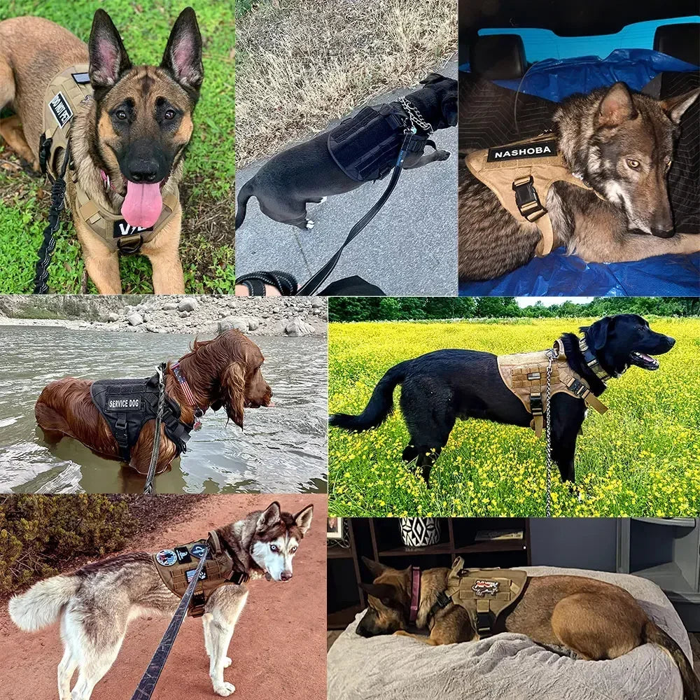 Tactical/Service Dog Harness Leash Collar