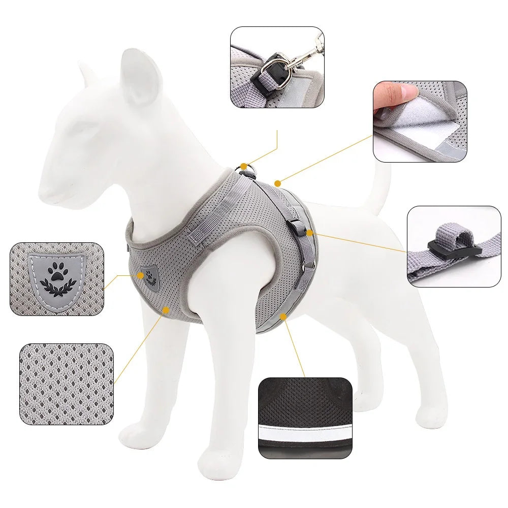 Small/Medium Dog Harness with Leash