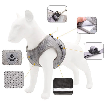 Small/Medium Dog Harness with Leash